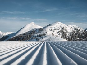 Winterauszeit in der Salzburger Sportwelt