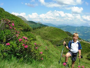 Natur-Auszeit inkl. Gastein-Card und geführten Touren | 4 Tage