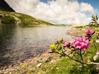 Natur-Auszeit inkl. Gastein-Card und geführten Touren | 4 Tage