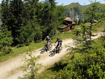 Natur-Auszeit inkl. Gastein-Card und geführten Touren | 4 Tage
