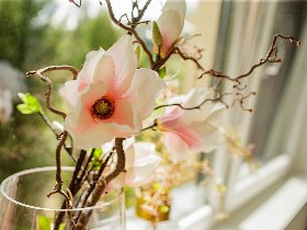 Thermenerholung in Bad Radkersburg inkl. 1 Thermeneintritt ohne Sauna| 2 Nächte