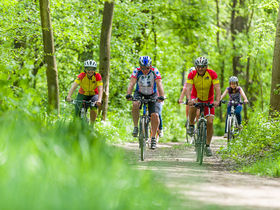 Thermenerholung in Bad Radkersburg inkl. 1 Thermeneintritt ohne Sauna| 2 Nächte
