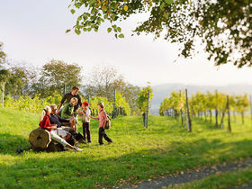 Thermenerholung in Bad Radkersburg inkl. 1 Thermeneintritt ohne Sauna| 2 Nächte