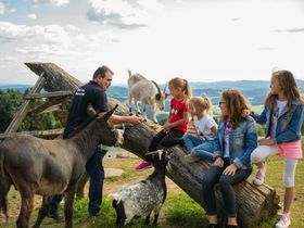 Silvester im Böhmerwald inkl. Galadinner & Feuerwerk zu Mitternacht