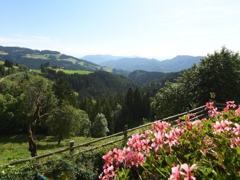 Ab einer Nacht auf der schönen Saualpe in Kärnten
