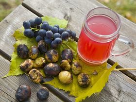Auf den Spuren des Wein im idyllischen Weinviertel I 2 Nächte