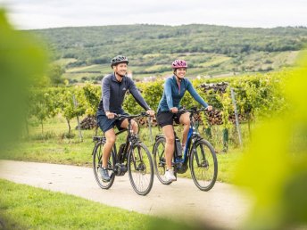 Durch das Weinviertel radeln und puren Genuss erleben I 2 Nächte