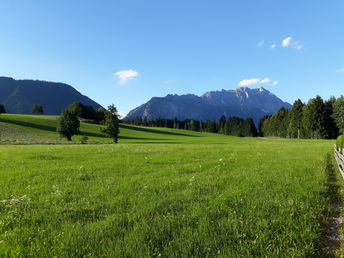 Bild 6 von 37