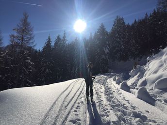 Bild 33 von 37