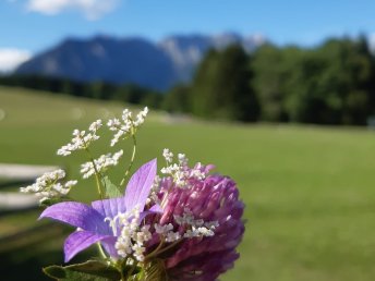Bergsommer im Häuserl im Wald inkl.  & SommerCard* | 3 Nächte 