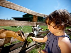 Kurzurlaub für die ganze Familie MIT Frühstück und OHNE Therme | 2 Nächte