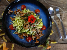 Ski & Relax im Nationalpark Hohe Tauern nahe Zell am See