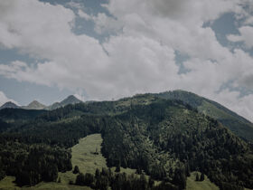 Ski & Relax im Nationalpark Hohe Tauern nahe Zell am See