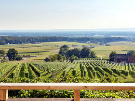 Die Winterzeit in der Südsteiermark  genießen - Luxus Lodge inkl. Wellnessgenuss | 5 Nächte