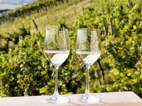 Die Winterzeit in der Südsteiermark  genießen - Luxus Lodge inkl. Wellnessgenuss | 5 Nächte