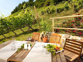 Die Winterzeit in der Südsteiermark  genießen - Luxus Lodge inkl. Wellnessgenuss | 5 Nächte