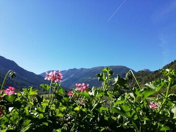 Bild 31 von 37