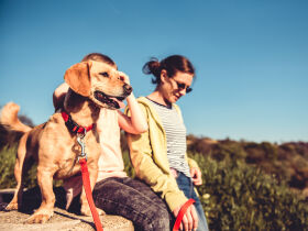 Urlaub mit Hund im Nationalpark Hohe Tauern Kärnten | 4 Nächte