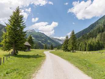 Bild 19 von 25