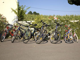 Heilfasten nach DR. Buchinger