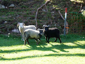 Erholungsurlaub im Salzburger Land inkl. LungauCard | 2 Nächte
