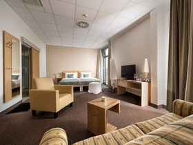  Burgen, Thermen & Wein im Südburgenland | 2 Nächte im Hotel Freiraum Güssing inkl. Burgenland Card