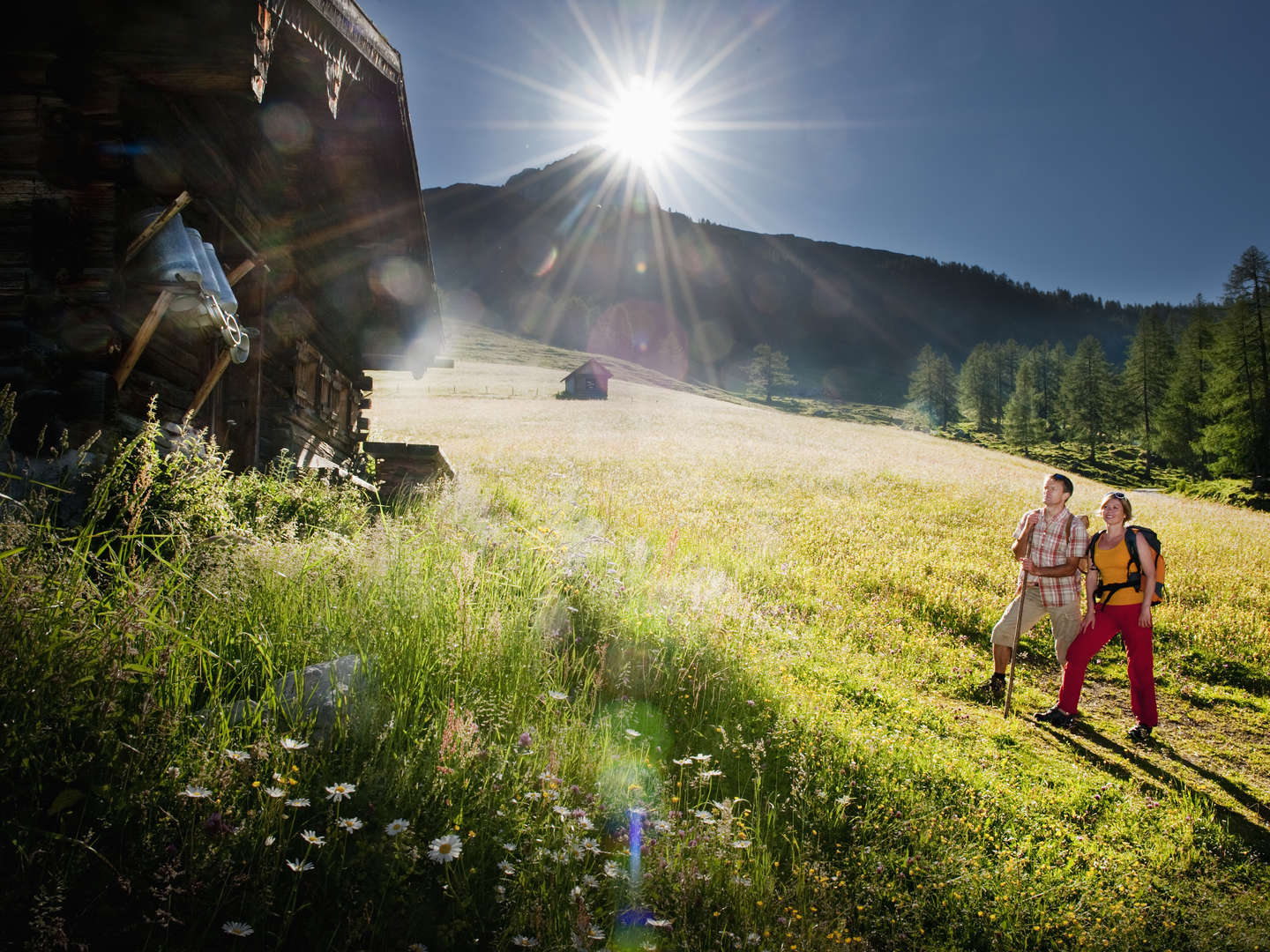 Wanderwochen in den Salzburger Bergen 