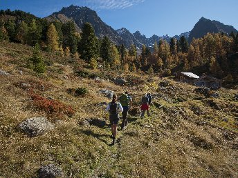 Goldene Herbstauszeit in Tirol inkl. Törggelen Abend