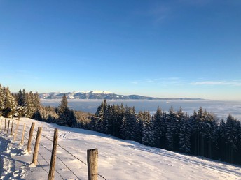 Bild 34 von 34