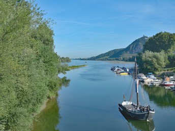Bild 17 von 19