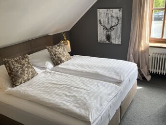 Bild 11 von 36