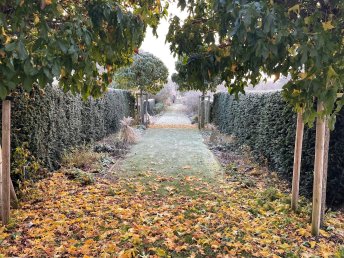 Bild 28 von 37