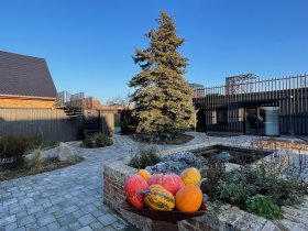 Zweisamkeit & Romantik im Landhaus inkl. Candle-Light-Dinner | 4 Tage 