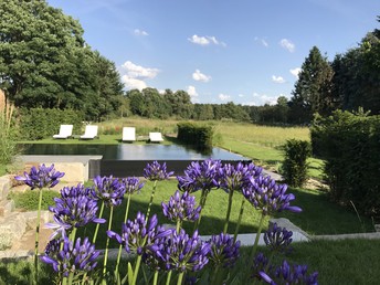 Bild 17 von 37