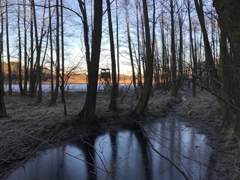 Bild 34 von 37