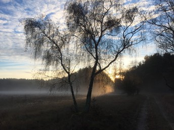 Bild 35 von 37