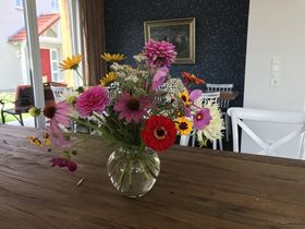 Ein Sommer in Brandenburg inkl. Abendessen & Pool | 3 Tage 