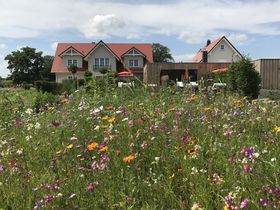 Ein Sommer in Brandenburg inkl. Abendessen & Pool | 3 Tage 
