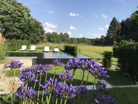 Ein Sommer in Brandenburg inkl. Abendessen & Pool | 3 Tage 