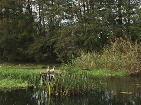 Ein Sommer in Brandenburg inkl. Abendessen & Pool | 3 Tage 