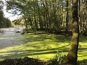 Ein Sommer in Brandenburg inkl. Abendessen & Pool | 3 Tage 