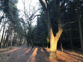 Zweisamkeit & Romantik im Landhaus inkl. Candle-Light-Dinner | 4 Tage 