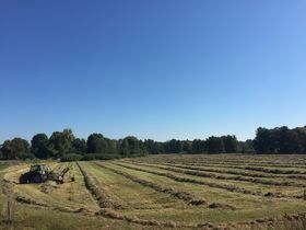 Ein Sommer in Brandenburg inkl. Abendessen & Pool | 3 Tage 