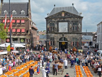 Bild 12 von 19