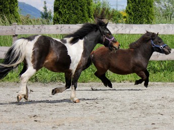 Appartementurlaub in Zell am See - Erholung inmitten der Berge | 2 Nächte