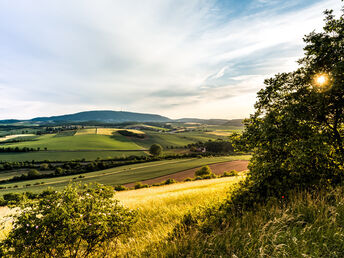 Bild 4 von 33