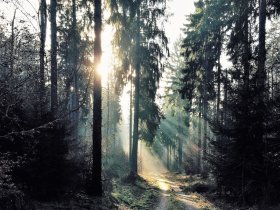 Valentinstag im EMICH'S Hotel- inkl. 3-Gang Menü 