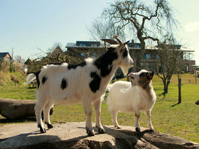 Nordsee - Endlose Weite & grüne Deiche inkl. 1 x Flammkuchen