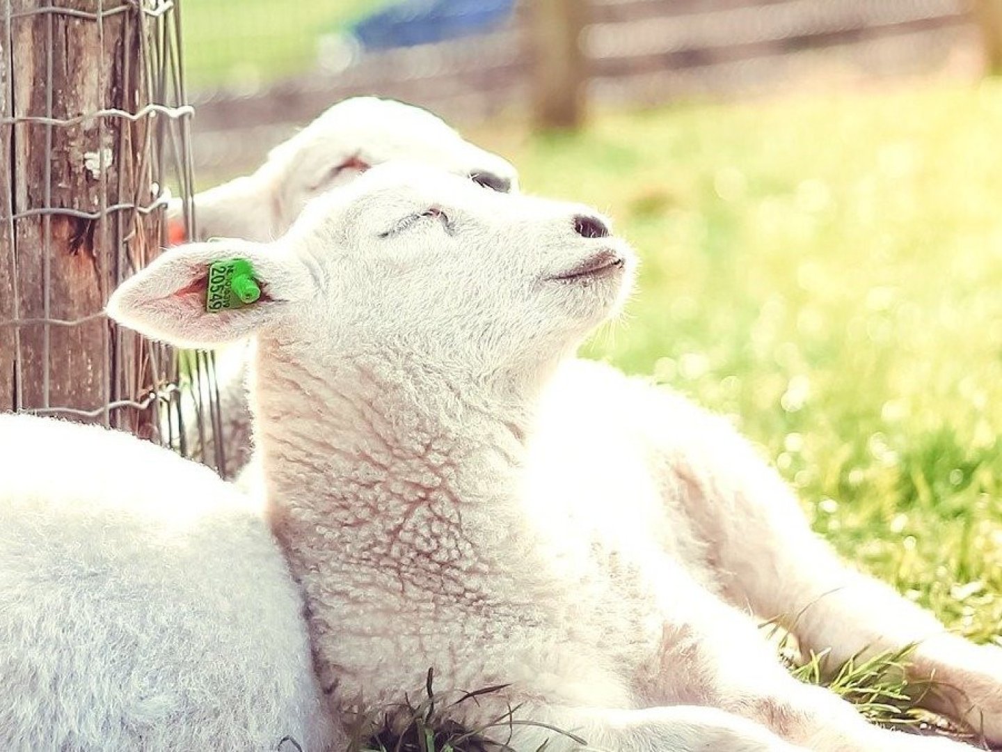 Kurze Auszeit