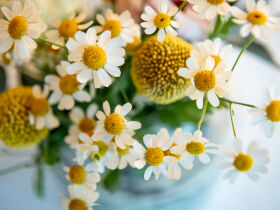 Zueg'schnitten auf di' Wellnessurlaub ganz nach deinem Geschmack | 5 Nächte